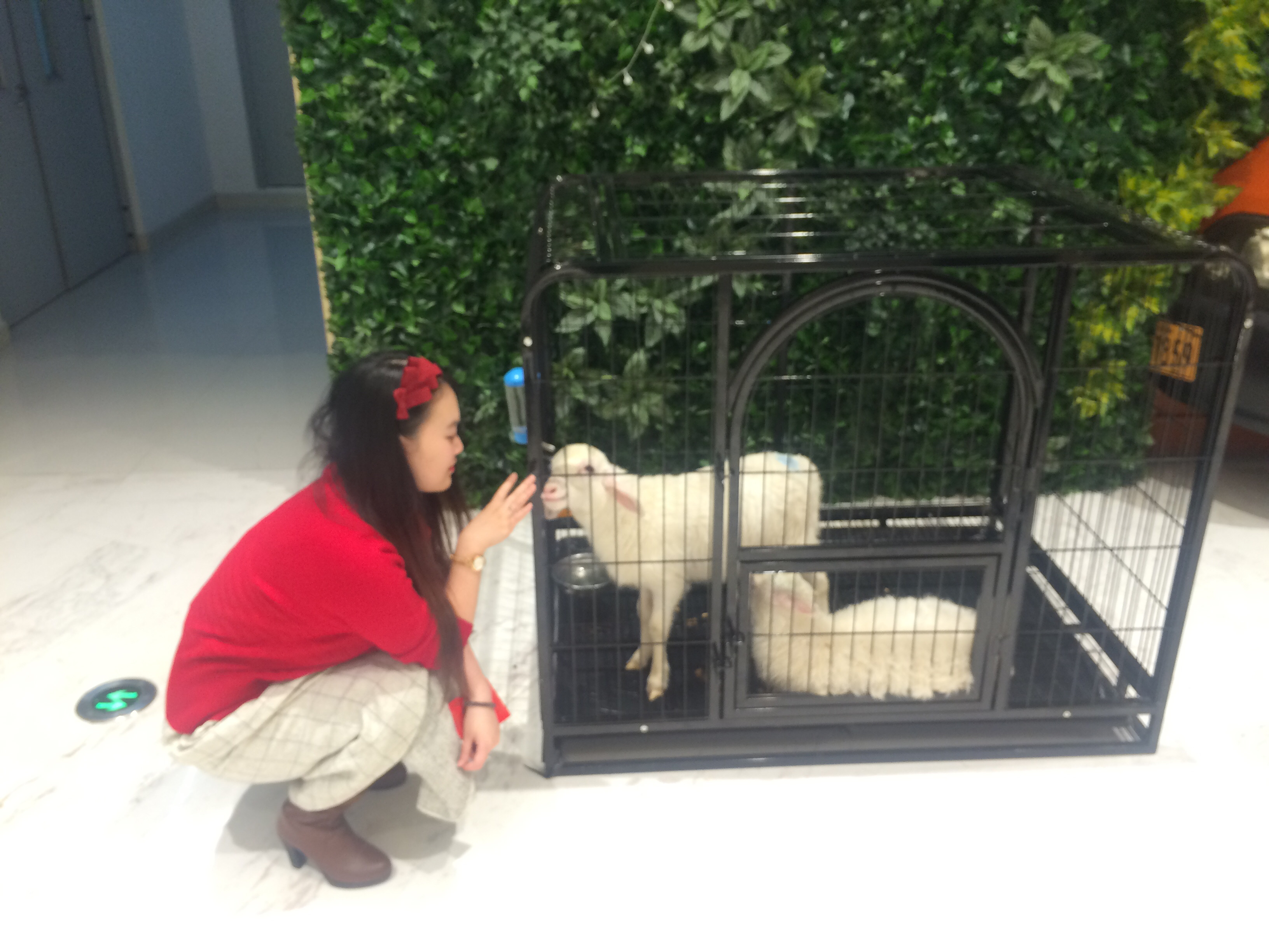 走过十年，永怀学习之心(图3)